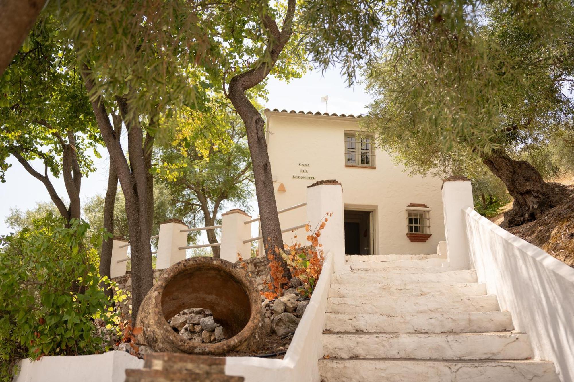 Finca Luca Oliva Zahara De La Sierra Exterior photo